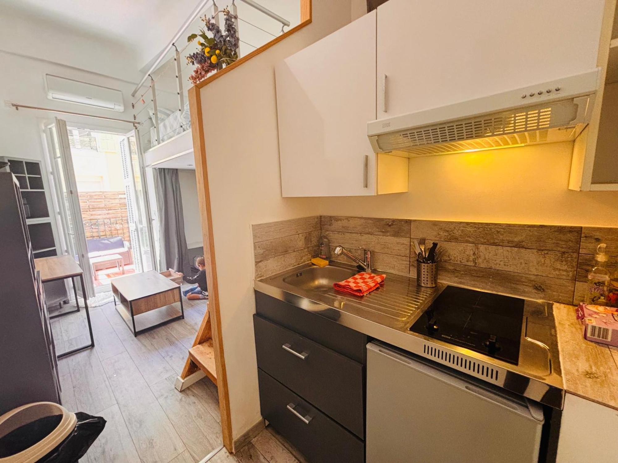 Apartment Berlioz Terrasse Nizza